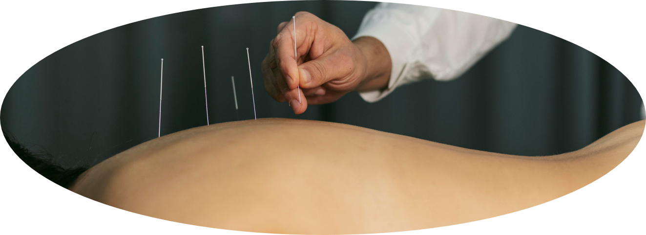 Drª Maria Cristina Bordoni Silva